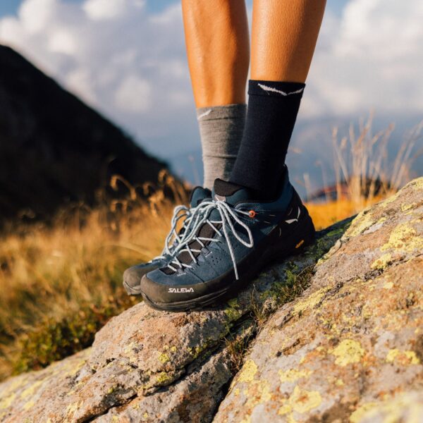 Кроссовки Женские ботинкиSalewa Alp 2 GTX dark denim/black