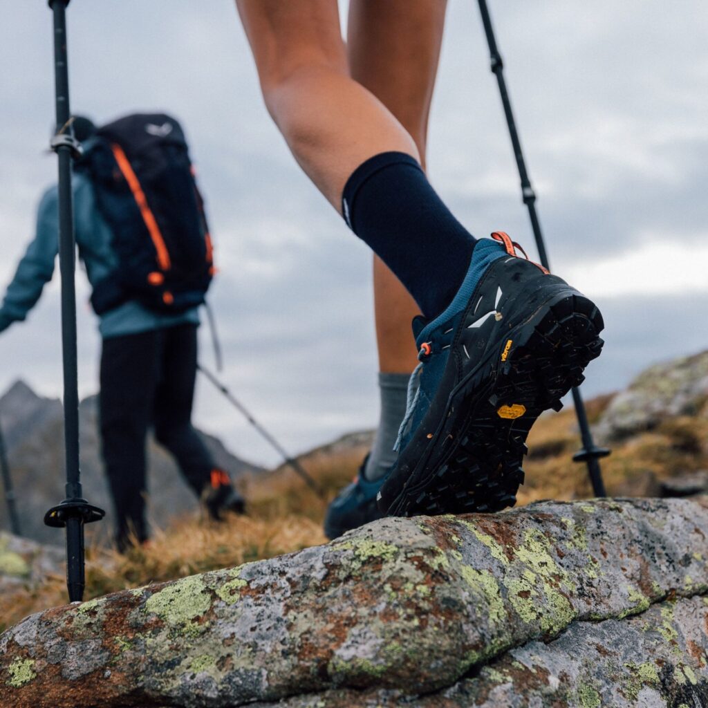 Кроссовки Женские ботинкиSalewa Alp 2 GTX dark denim/black