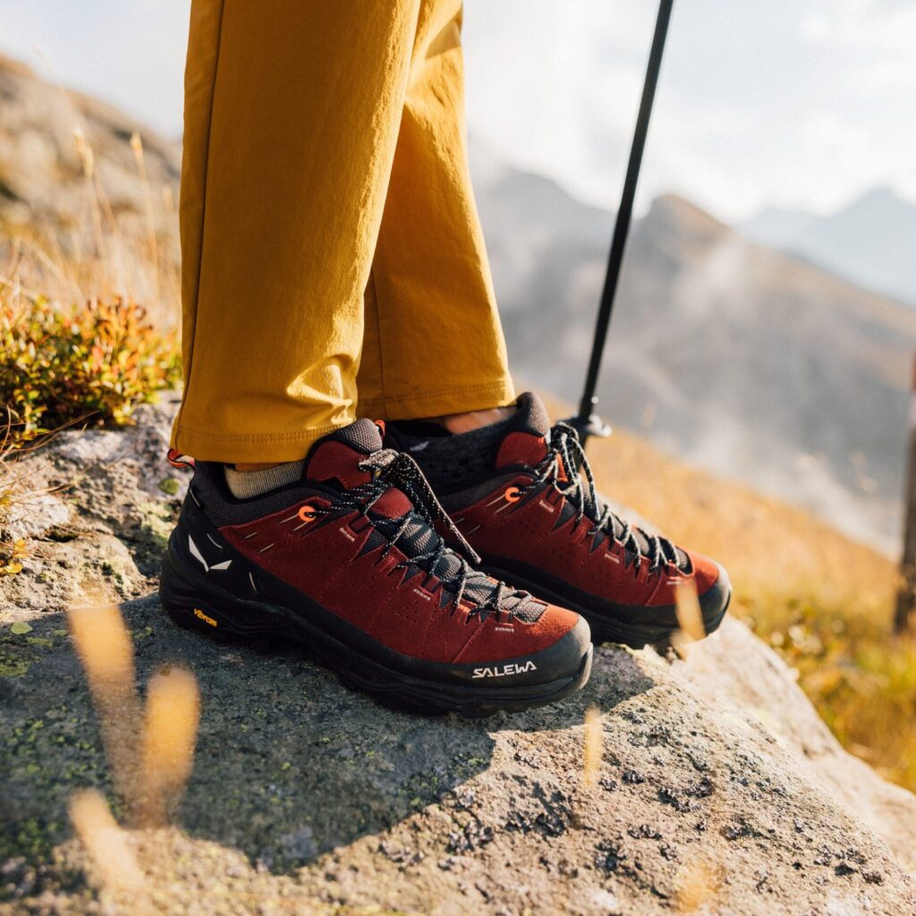Кроссовки Женские ботинкиSalewa Alp 2 GTX syrah/black