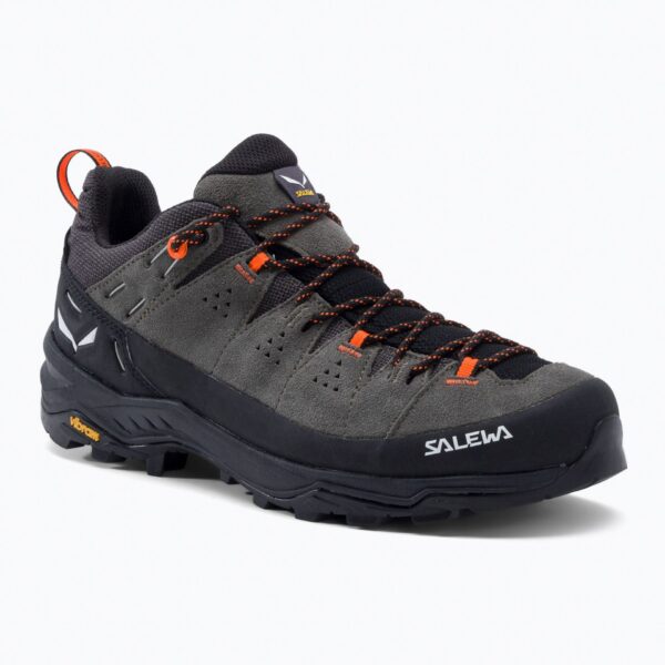 Кроссовки Ботинки мужские Salewa Alp 2 GTX bungee cord/black