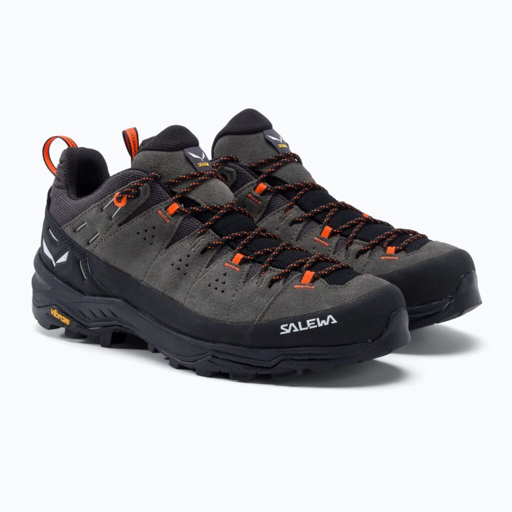 Кроссовки Ботинки мужские Salewa Alp 2 GTX bungee cord/black