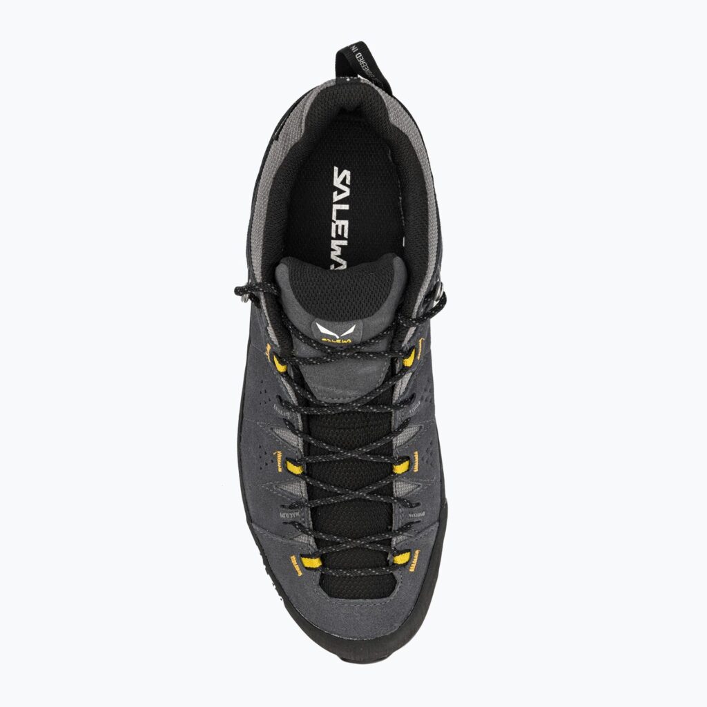 Ботинки мужские Salewa Alp 2 GTX onyx/black