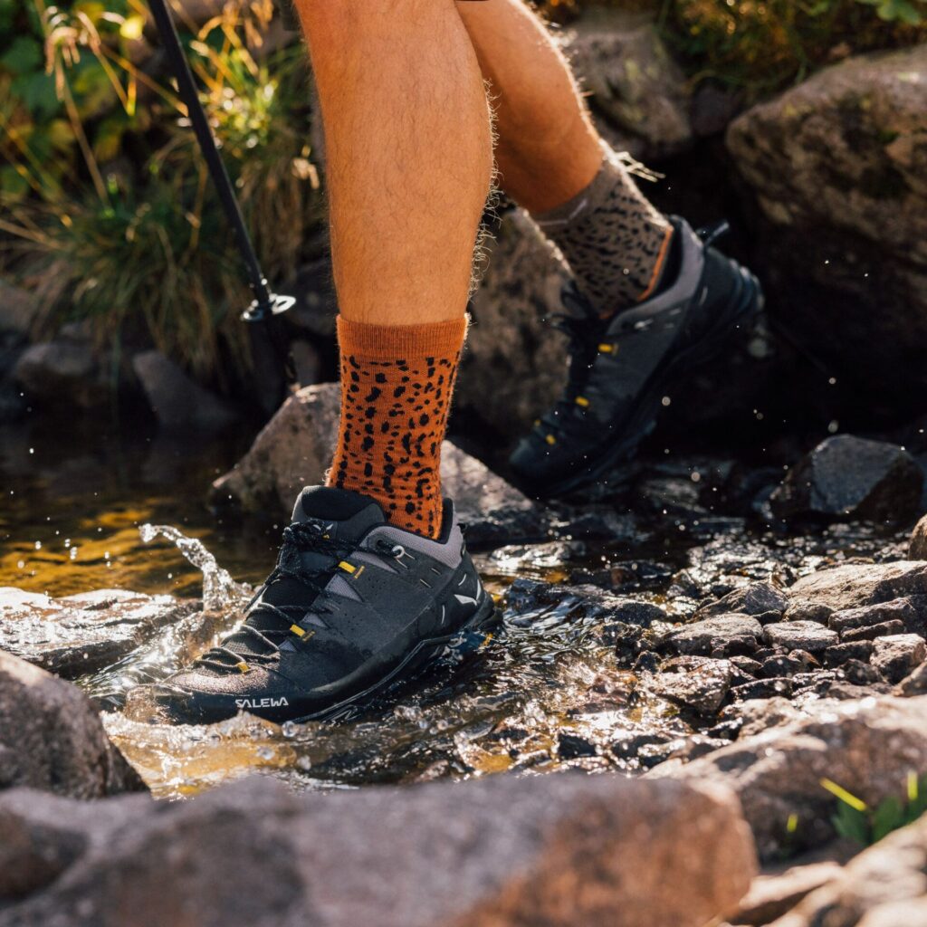 Ботинки мужские Salewa Alp 2 GTX onyx/black