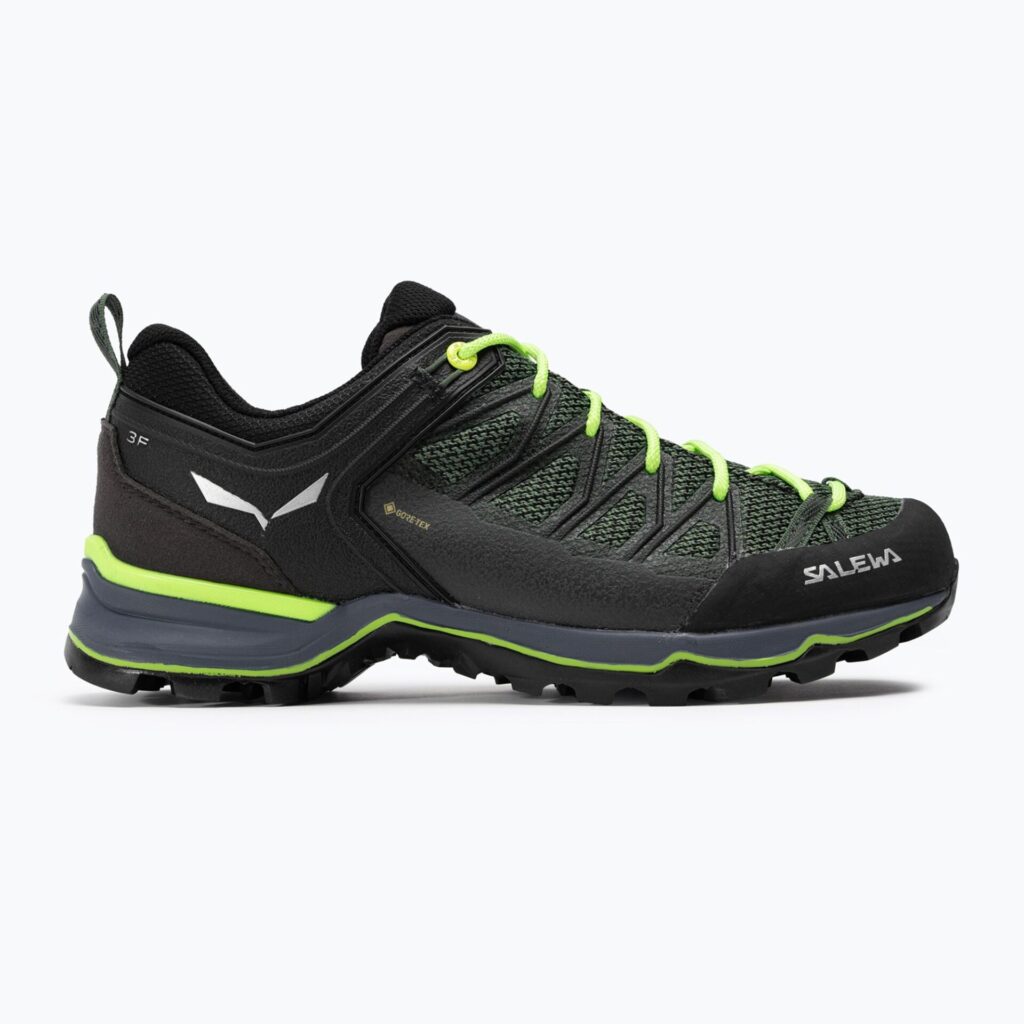 Ботинки мужские Salewa MTN Lite GTX myrtle/ombre blue