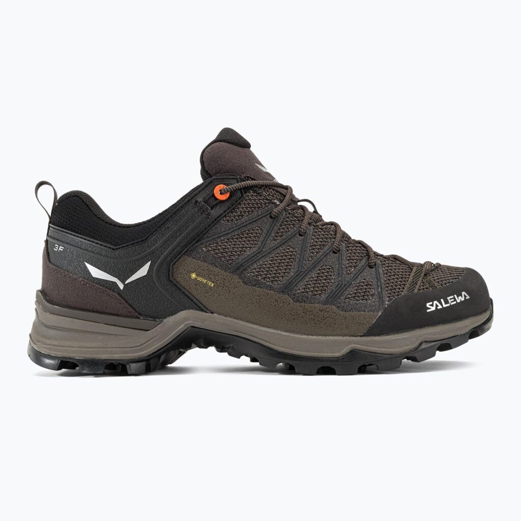 Ботинки мужские Salewa MTN Lite GTX wallnut/fluo orange