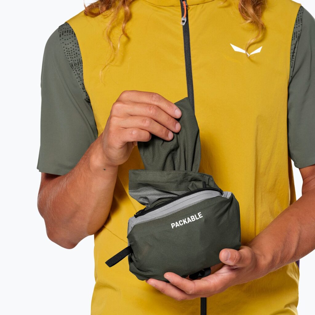 Куртка мужская Salewa Pedroc 2 PTX 2.5 Light faded green