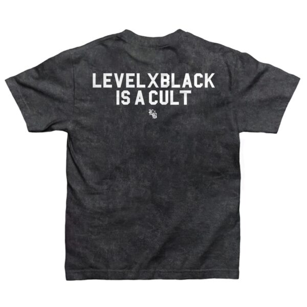 Level x Black Футболка Cult Carbon Acid Wash
