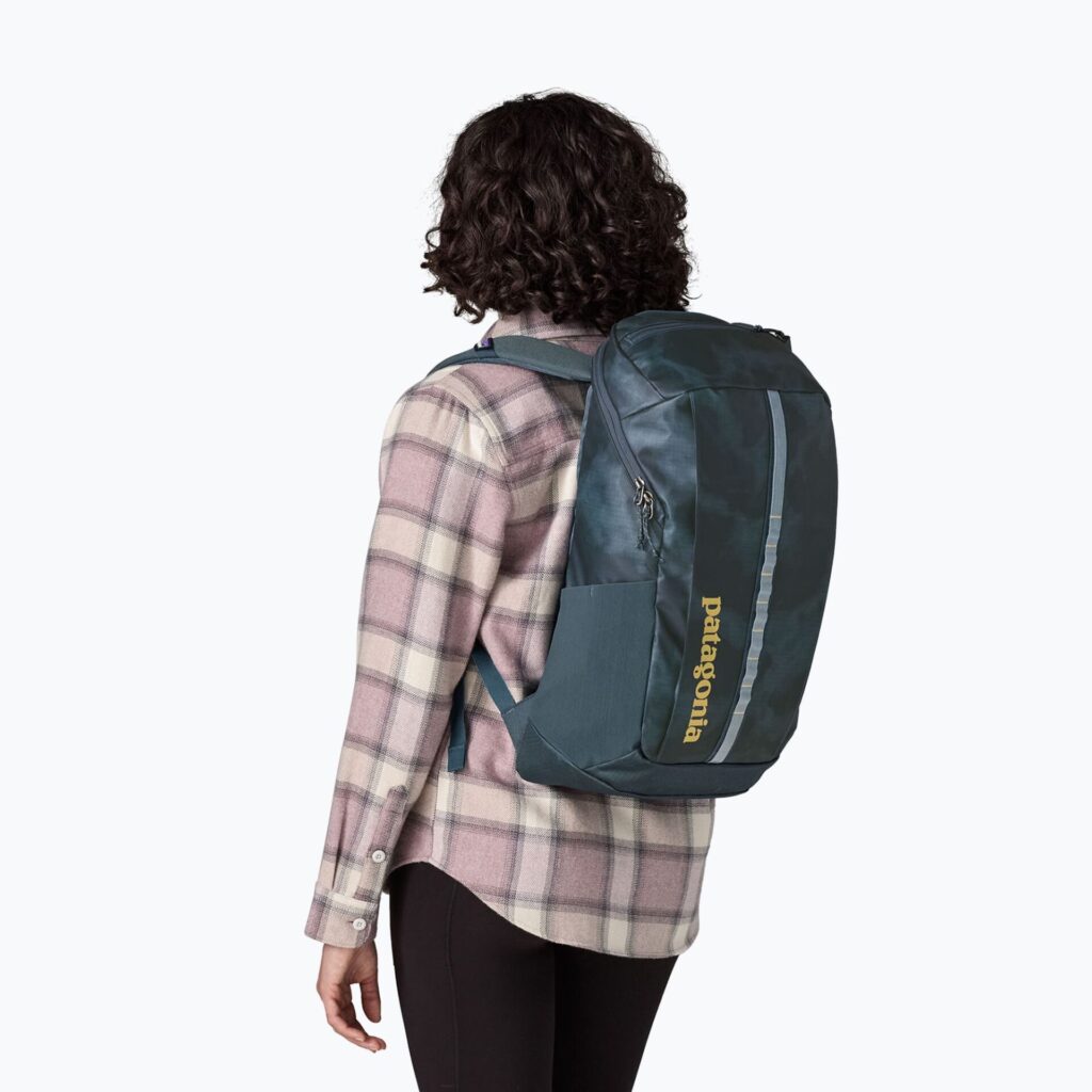 Рюкзак Patagonia Black Hole Pack 25 l sastrugi: summit blue