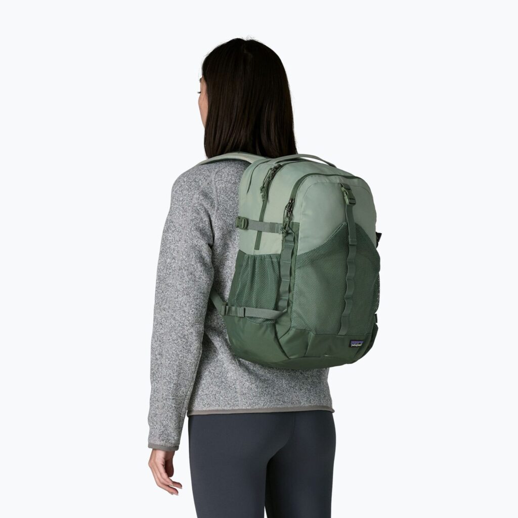 Рюкзак Patagonia Refugio Day 30 l cover green