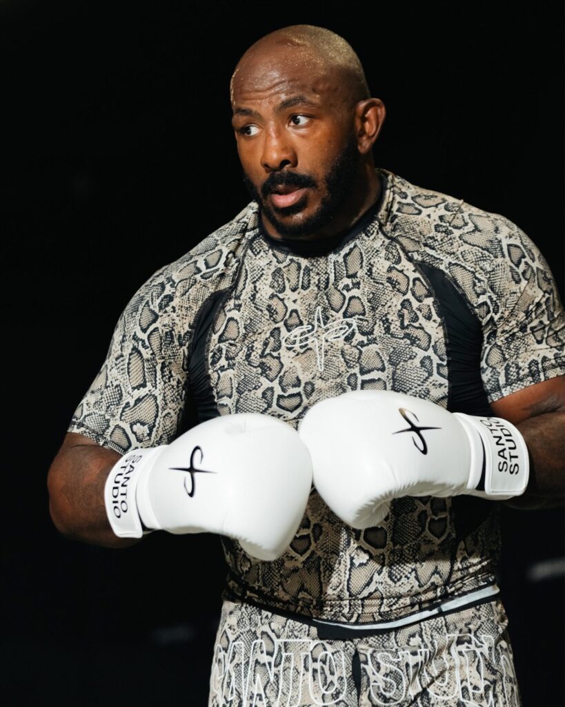 Перчатки Santo Studio Powerlock Pro Boxing s